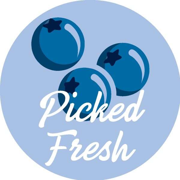 Picked Fresh Blueberries Label